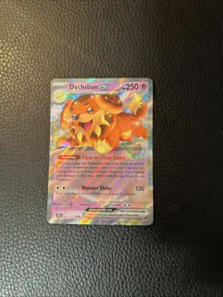 DACHSBUN EX 067/142 STELLAR CROWN POKEMON DOUBLE RARE PACK FRESH NM * - Image 1