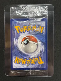 Pokemon Card Teal Mask Ogerpon SVP 123 Promo Twilight Masquerade SEALED - Image 2
