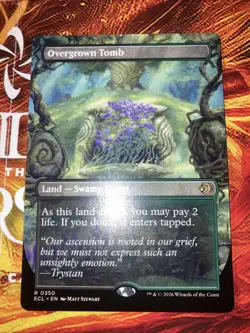 Overgrown Tomb (Borderless) Lorwyn Eclipsed Regular - Image 1