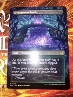 Overgrown Tomb (Borderless) Lorwyn Eclipsed Regular - Image 2