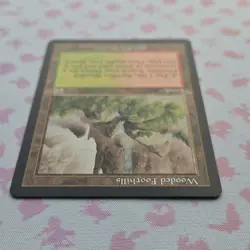 Wooded Foothills Onslaught Regular - Image 3