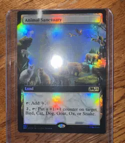 Animal Sanctuary [FOIL BORDERLESS] ~ Core Set 2021 ~ MTG ~ Rare (NM/M) - Image 1