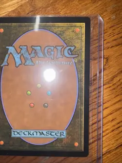 Animal Sanctuary [FOIL BORDERLESS] ~ Core Set 2021 ~ MTG ~ Rare (NM/M) - Image 4