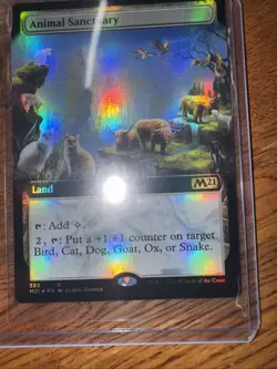 Animal Sanctuary [FOIL BORDERLESS] ~ Core Set 2021 ~ MTG ~ Rare (NM/M) - Image 5