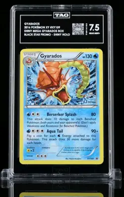 Pokemon XY109 Gyarados Holo Rare Black Star Promos TAG 7.5 - Image 1