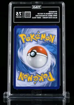 Pokemon XY109 Gyarados Holo Rare Black Star Promos TAG 7.5 - Image 2
