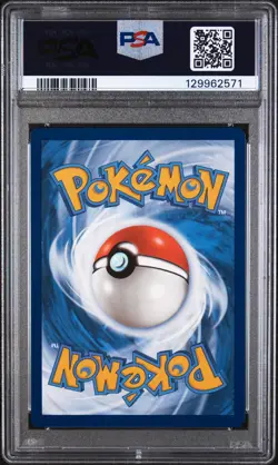 2023 Pokemon Black Star Promo Pikachu #027 GEM MT PSA 10 Paldea Evolved ETB - Image 2
