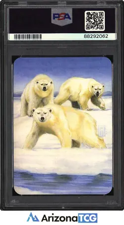 Sorcery 2023 Polar Bears Beta-Foil Sorcery: Contested Realm PSA 9 - Image 2