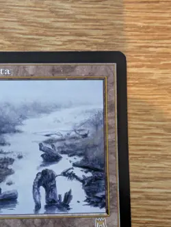 MTG Onslaught Polluted Delta Rare Fetch Land [LP] Lightly Played - Image 4