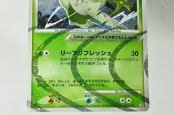Pokemon card Arceus 005,008/017 Arceus LV.X Deck: Grass & Fire 2009 Japanese MP - Image 4