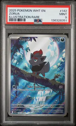 2025 Pokemon Wht En-white Flare Zorua Illustration Rare 142 PSA Mint 9 - Image 1