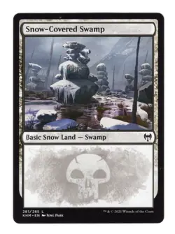 MTG Kaldheim Snow-Covered Lands Lot of 10 Cards Total Plains Island Swamp Forest - Image 3