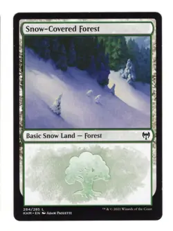 MTG Kaldheim Snow-Covered Lands Lot of 10 Cards Total Plains Island Swamp Forest - Image 5