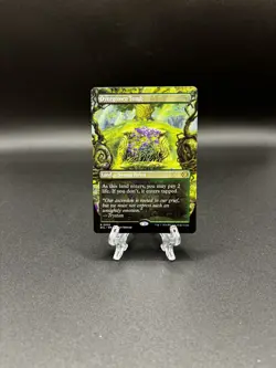 Magic The Gathering Overgrown Tomb (Borderless) Lorwyn Eclipsed Regular - Image 1