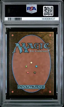 2025 MTG MARVEL'S SPIDER-MAN EXTENDED ART-FOIL #0251 IMPOSTOR SYNDROME PSA 8 - Image 2