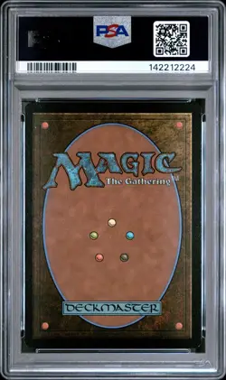 2025 MTG MARVEL'S SPIDER-MAN SCENE BORDERLESS-FOIL #0204 SPIDER-MAN NOIR PSA 9 - Image 2