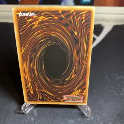 Harpie's Feather Duster Super Rare 1st Edition Mint YuGiOh Card EGS1-EN022 MINT - Image 3