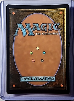 2022 MTG Magic the Gathering Secret Lair Extended Art Foil 647 Brood Sliver MP - Image 2