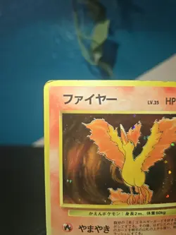 Pokemon card TCG Moltres No.146 Holo Rare Old Back Fossil 1997 Japanese - Image 3