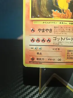 Pokemon card TCG Moltres No.146 Holo Rare Old Back Fossil 1997 Japanese - Image 5