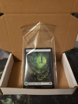 50 Full Art Lands (10 Each) Wilds of Eldraine NM MTG - Image 5