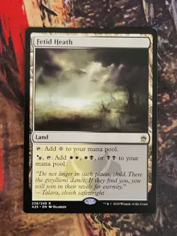 MTG Card: Fetid Heath (Masters 25) - Image 1