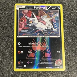 Team Magma's Poochyena Double Crisis Reverse Holo Card 17/34 NM Condition - Image 1
