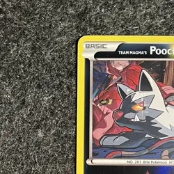 Team Magma's Poochyena Double Crisis Reverse Holo Card 17/34 NM Condition - Image 3