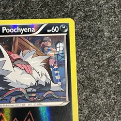 Team Magma's Poochyena Double Crisis Reverse Holo Card 17/34 NM Condition - Image 4