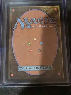 Sunspine Lynx (Borderless) - Bloomburrow - Magic MTG - BLB - NM - Image 4