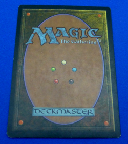 Scorched Ruins Weatherlight MTG LP Lightly Played Commander EDH Legacy - Image 2