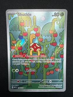 Pokemon Mega Evolution SHUCKLE 136/132 Illustration Rare Card - Image 1