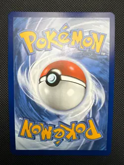 Pokemon Mega Evolution SHUCKLE 136/132 Illustration Rare Card - Image 2