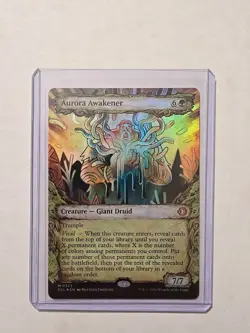 Aurora Awakener (Showcase/Foil) - Lorwyn Eclipsed - NM - Rare - Creature - Image 1