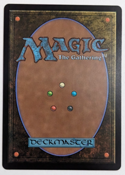 Kain, Traitorous Dragoon (316) Borderless, Final Fantasy, Magic MtG, Regular NM! - Image 2