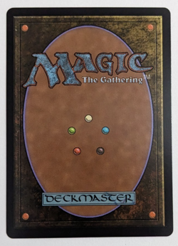 Maralen, Fae Ascendant (376) Extended Art, Lorwyn Eclipsed ECL, Magic MtG, Foil! - Image 2