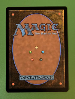 MTG: Avatar the Last Airbender (TLA) 0324 - Raven Eagle - Full Art Regular - Image 2