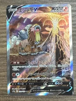 Raikou V & Entei V & Suicune V SAR Set － Japanese Pokemon Cards S12a - Image 5