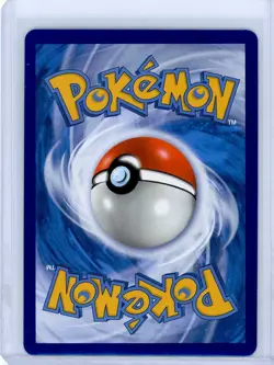 Pokemon TCG Radiant Eevee SWSH230 Holo Sword Shield Black Star Promo - Image 2