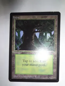 MTG MAGIC THE GATHERING CARD ORIGINAL BETA LAND FOREST A V1 EYES DARK GREEN MANA - Image 1