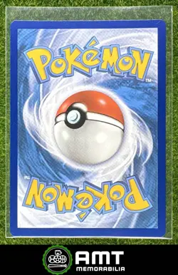 Zeraora V 2021 Pokemon Sword & Shield Chilling Reign #166/198 Ultra Rare - Image 2