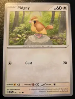 Pidgey 162/197 Common Scarlet & Violet: Obsidian Flames Pokemon TCG - Image 1