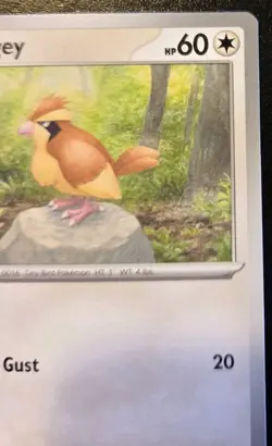 Pidgey 162/197 Common Scarlet & Violet: Obsidian Flames Pokemon TCG - Image 3
