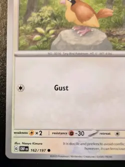 Pidgey 162/197 Common Scarlet & Violet: Obsidian Flames Pokemon TCG - Image 4