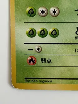 Ivysaur NO. 002 Pokemon old back vintage Japanese Pokemon Card FRom Japan - Image 4