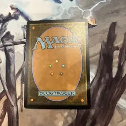 1x MTG - Architect of the Untamed - Kaladesh - NM - Image 2