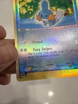 EX Ruby & Sapphire Mudkip 60/109 2003 Pokemon Card! Holo (Bowed Curve) - Image 4