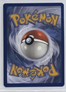 Pikachu (Paldea Adventure Chest) Holo Pokemon Scarlet & Violet Black Star Promo - Image 2