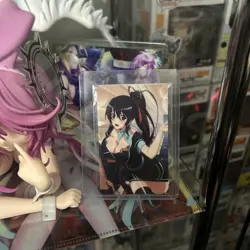 High School DxD HERO Gamers Akeno Himejima E-2 Illustration Card - Image 1