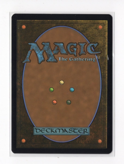 MTG Spider-Man Borderless Non-Foil Parallel Lives M0036 - Image 2